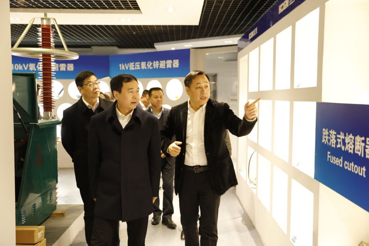 荆州市委常委、组织部长马永良光临德赢电气集团调研领导