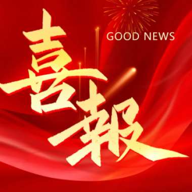 2025年2月 喜讯丨热烈祝贺德赢电气集团荣登乐清市高质量发展各项榜单！
