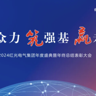 2025年1月 “聚多力 筑强基 赢将来”-德赢电气集团2024年度盛典圆满成功！