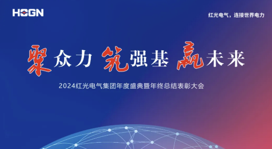 2025年1月 “聚多力 筑强基 赢将来”-德赢电气集团2024年度盛典圆满成功！